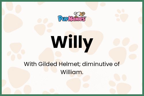 Willy dog name meaning