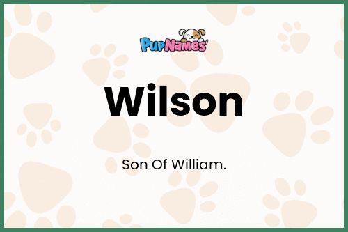 Wilson dog name meaning