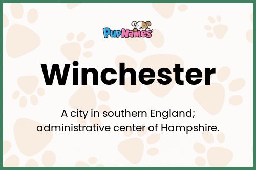 Winchester dog name meaning