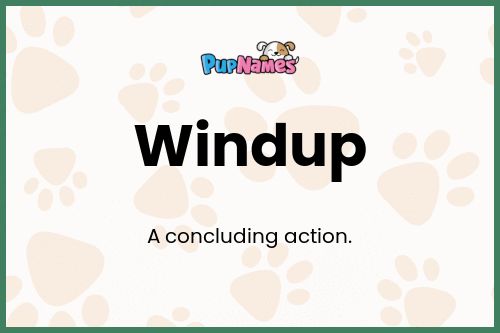 Windup dog name meaning