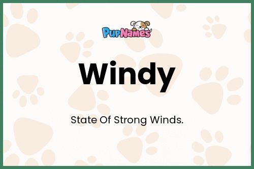 Windy dog name meaning