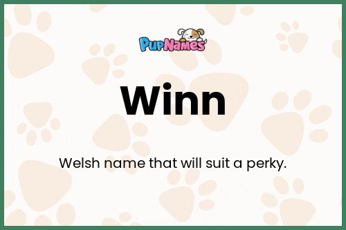 Winn dog name meaning