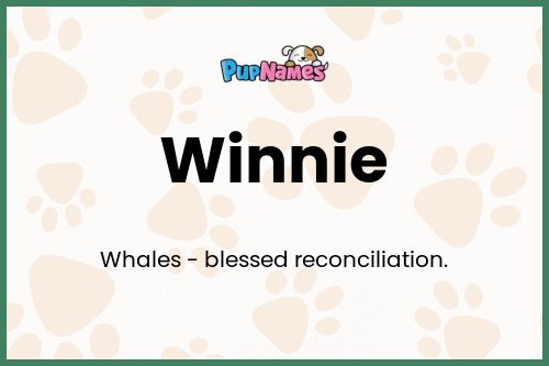 Winnie dog name meaning