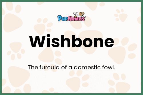 Wishbone dog name meaning