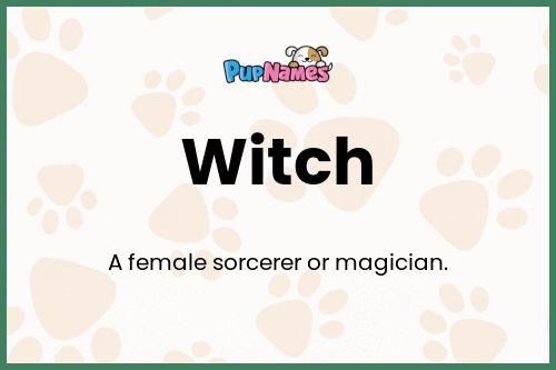 Witch dog name meaning