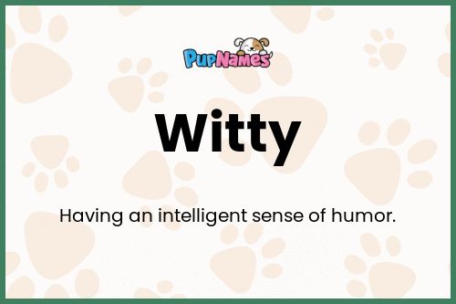 Witty dog name meaning