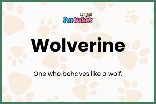 Wolverine dog name meaning