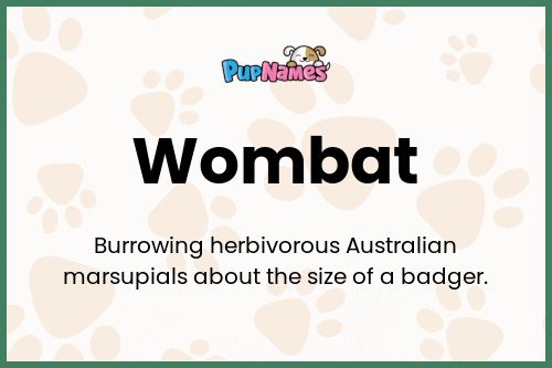 Wombat dog name meaning