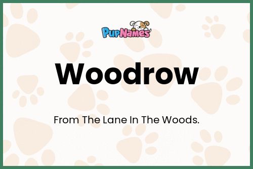 Woodrow dog name meaning