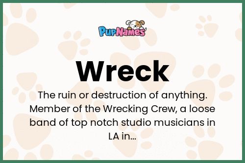 Wreck dog name meaning