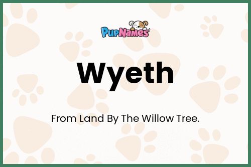 Wyeth dog name meaning