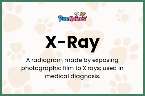X-Ray dog name meaning