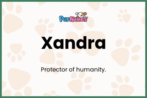 Xandra dog name meaning