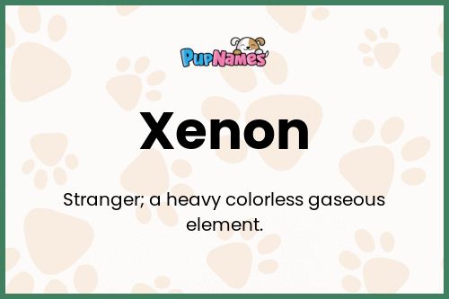 Xenon dog name meaning