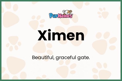 Ximen dog name meaning