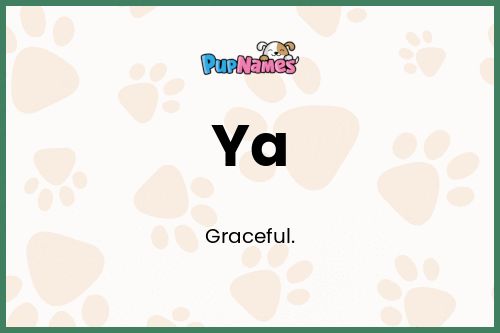 Ya dog name meaning