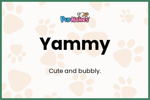 Yammy dog name meaning