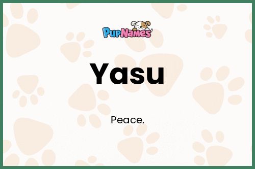 Yasu dog name meaning