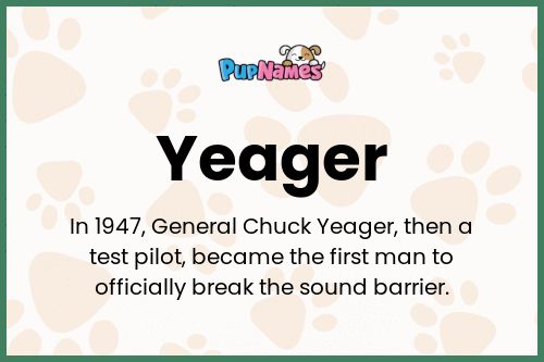 Yeager dog name meaning