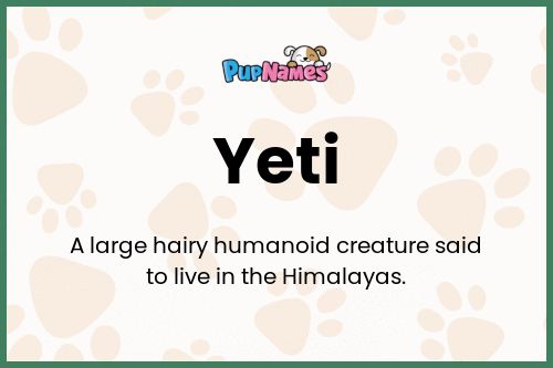 Yeti dog name meaning