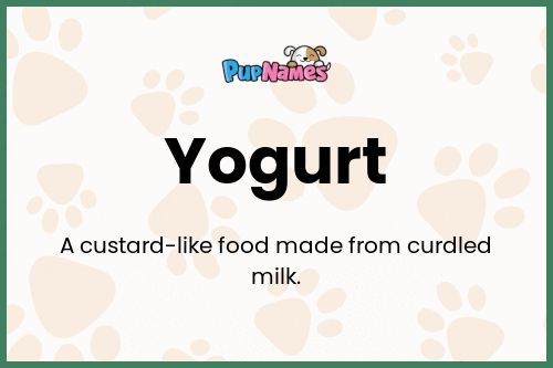 Yogurt dog name meaning