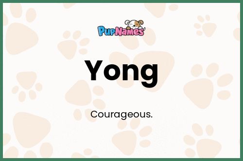 Yong dog name meaning