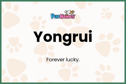 Yongrui dog name meaning