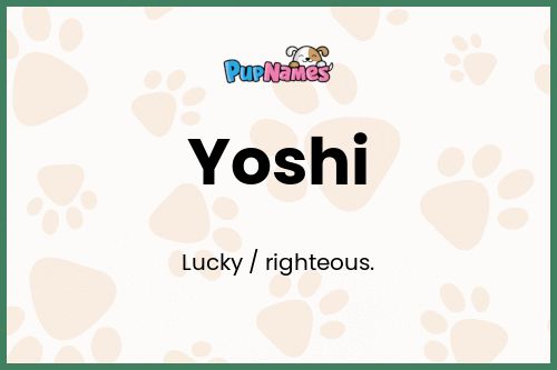 Yoshi dog name meaning