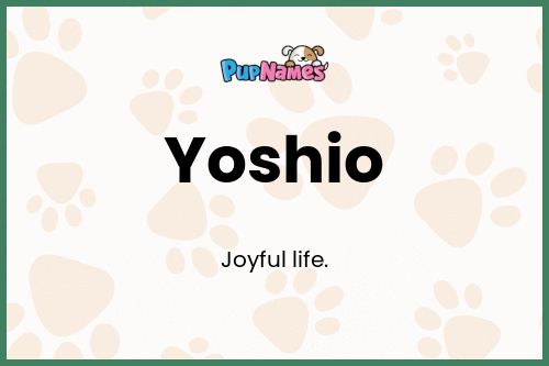 Yoshio dog name meaning