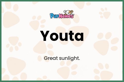 Youta dog name meaning