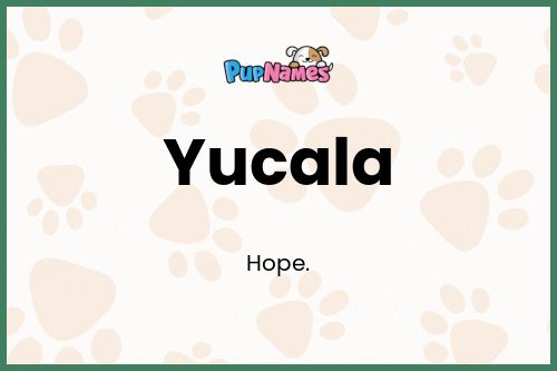 Yucala dog name meaning