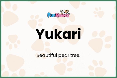 Yukari dog name meaning
