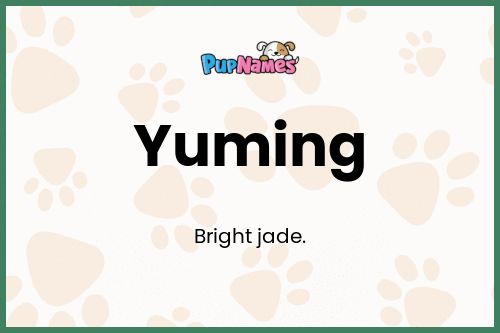 Yuming dog name meaning