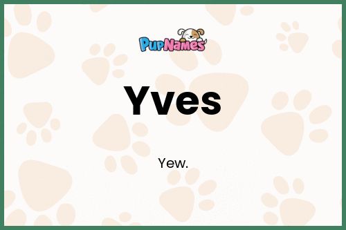 Yves dog name meaning