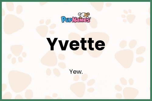 Yvette dog name meaning