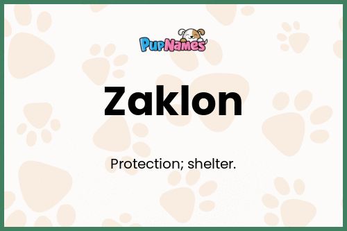 Zaklon dog name meaning