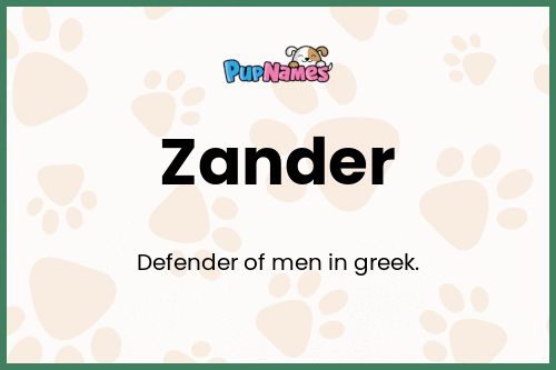 Zander dog name meaning