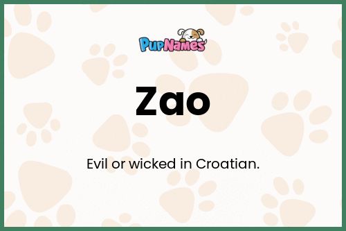 Zao dog name meaning