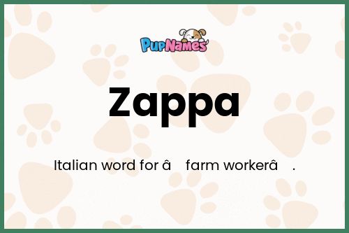 Zappa dog name meaning