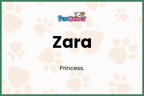 Zara dog name meaning