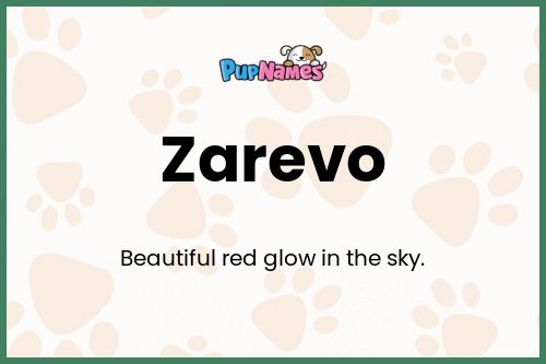 Zarevo dog name meaning