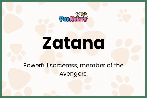 Zatana dog name meaning