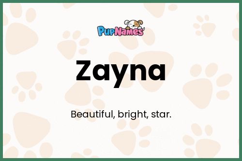 Zayna dog name meaning