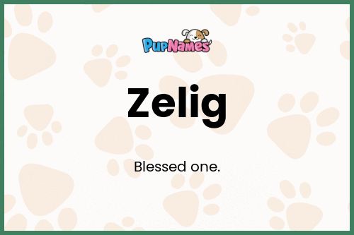 Zelig dog name meaning