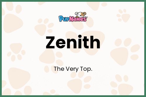 Zenith dog name meaning