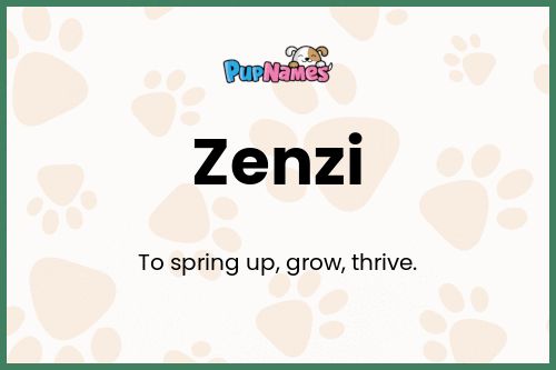 Zenzi dog name meaning