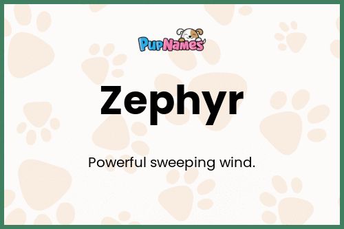 Zephyr dog name meaning