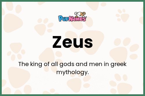 Zeus dog name meaning