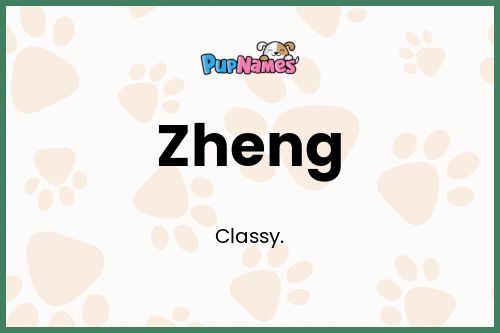 Zheng dog name meaning