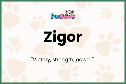 Zigor dog name meaning